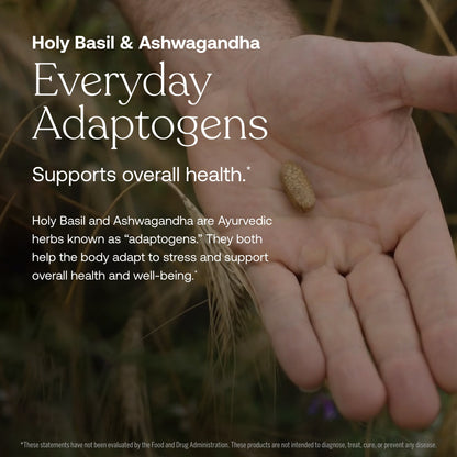 One Daily Men's Multivitamin