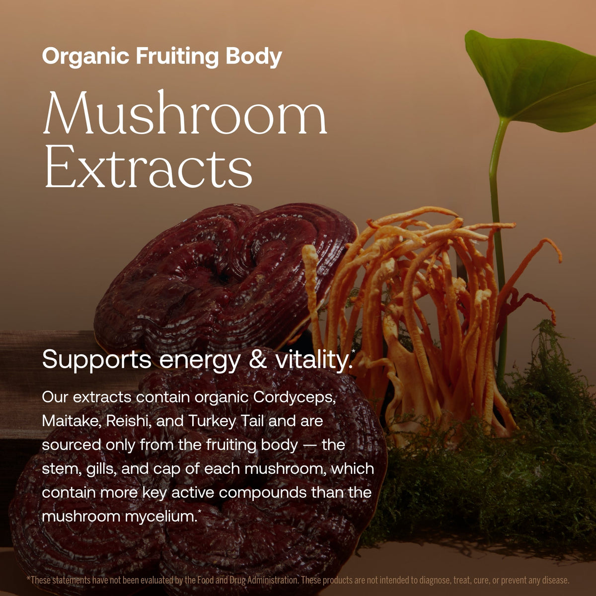 One Daily Men's Multivitamin