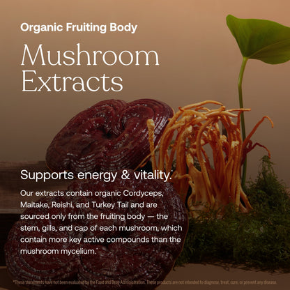 One Daily Men's Multivitamin