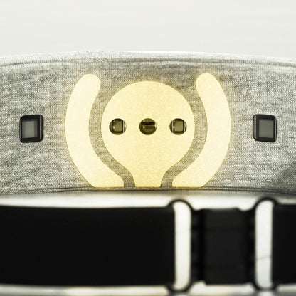 Muse S Athena Premium Subscription Bundle