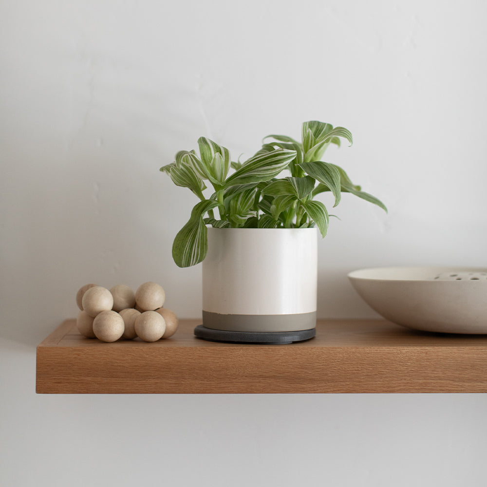 Stone Saucer - 2 Small by Dorai Home | Quick-Drying Home Essentials