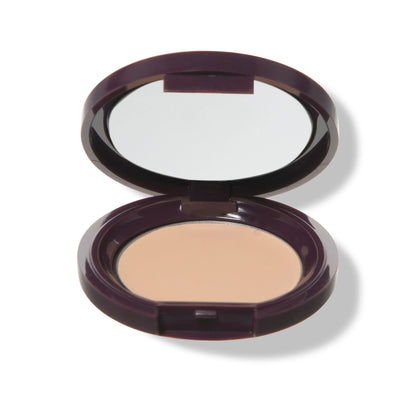 Fruit Pigmented® Long Last Concealer with Super Fruits