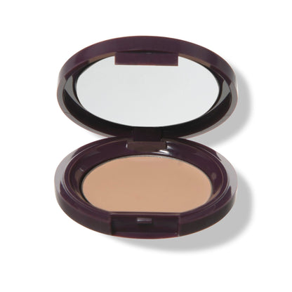 Fruit Pigmented® Long Last Concealer with Super Fruits
