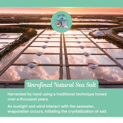 Celtic Sea Salt- 8 oz Shaker of Fine Ground, organic, 82 minerals, Celt Salt by Nature's Pantry by Celt Salt