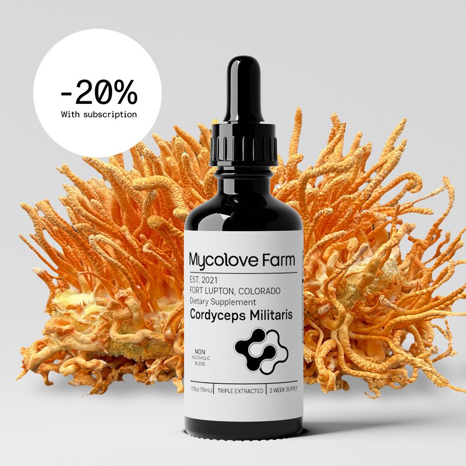 Cordyceps Tincture (Glycerine base)