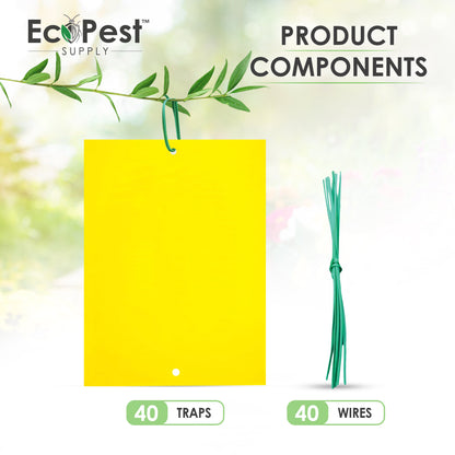 Extra-Wide Sticky Fly Traps (Yellow) — 40 Pack by EcoPest Supply
