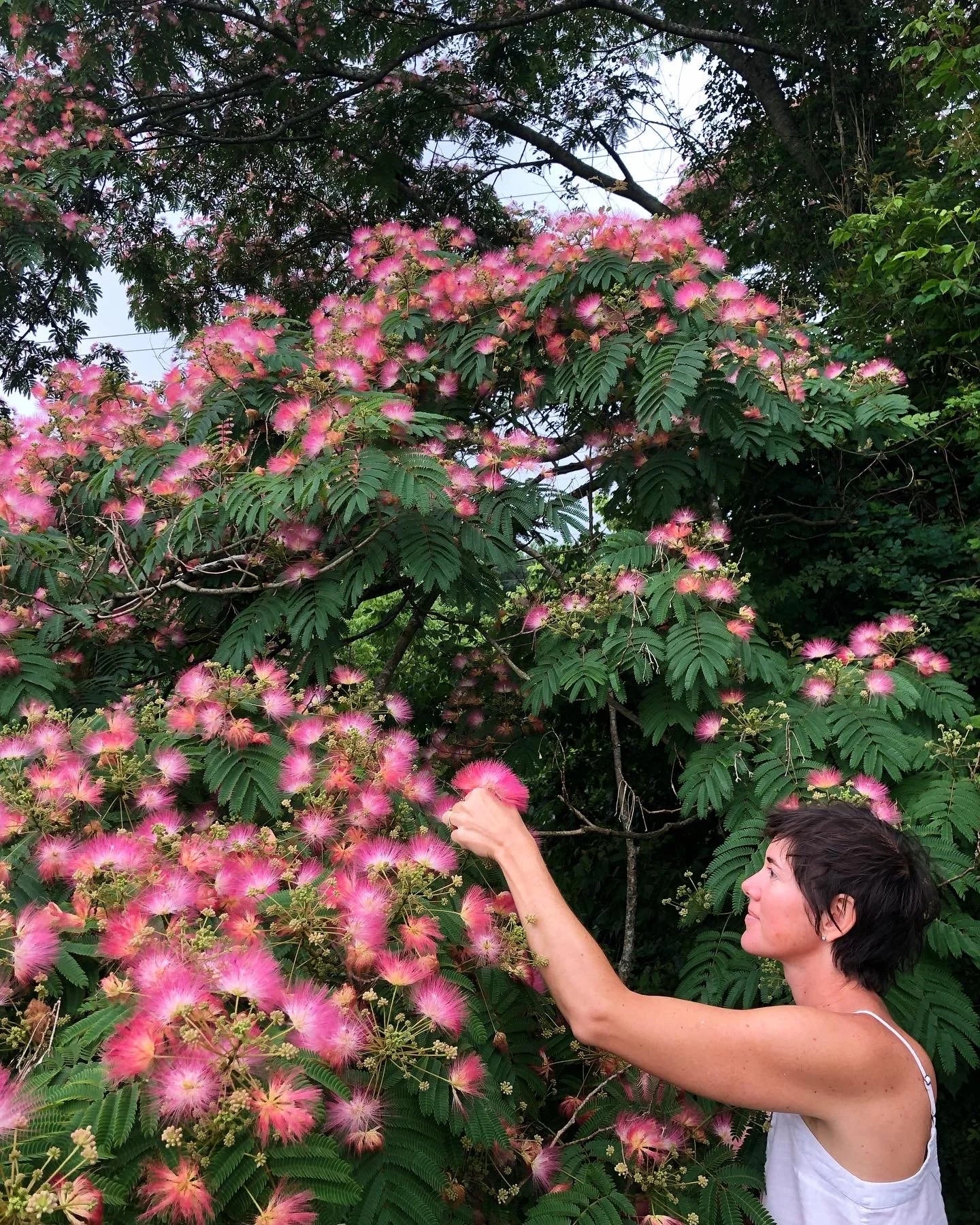 Spirit Lift Tincture