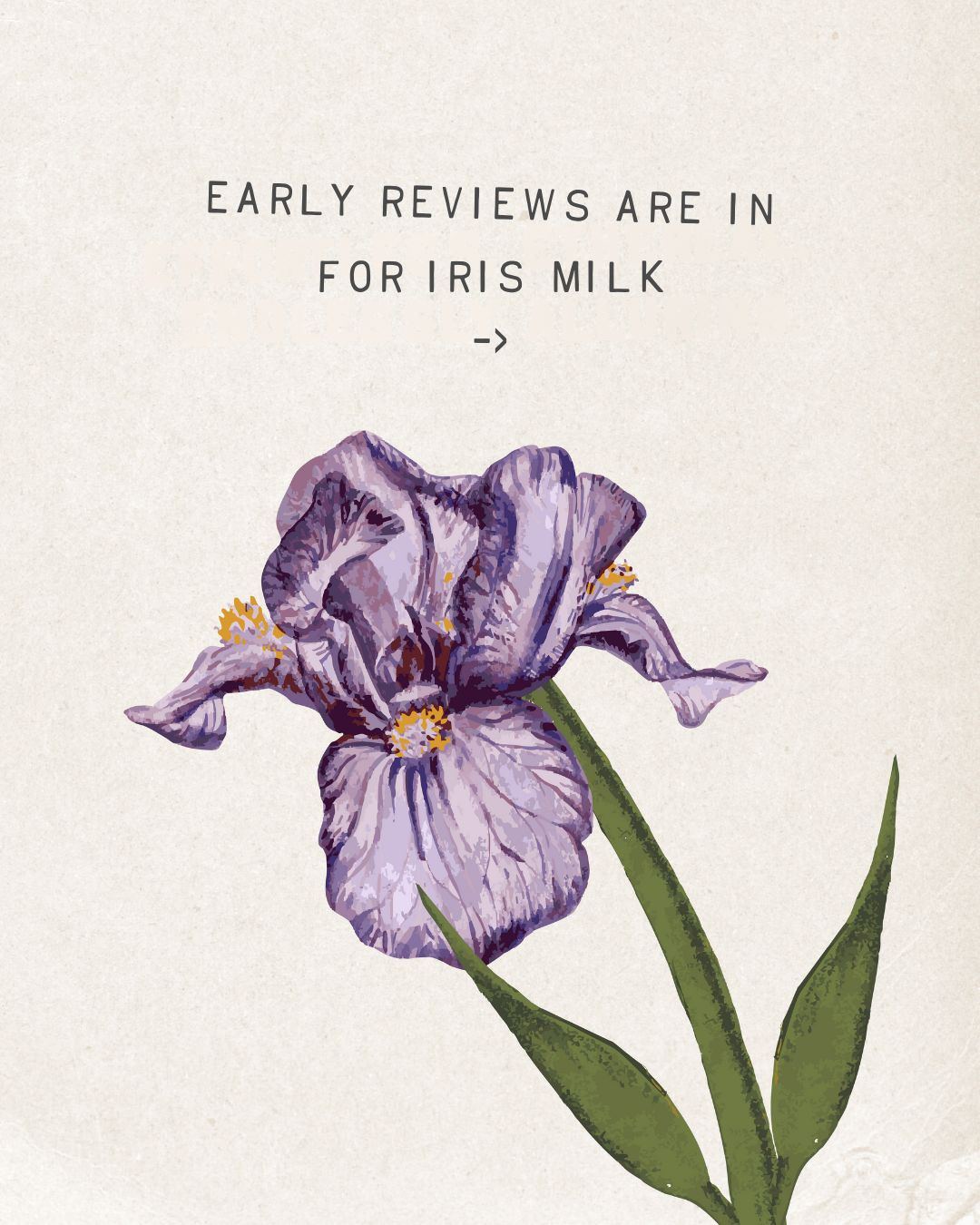 Iris Milk Fragrance