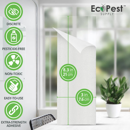 Window Fly Traps – 25 Pack | Transparent Sticky Fly Trap for Windows by EcoPest Supply