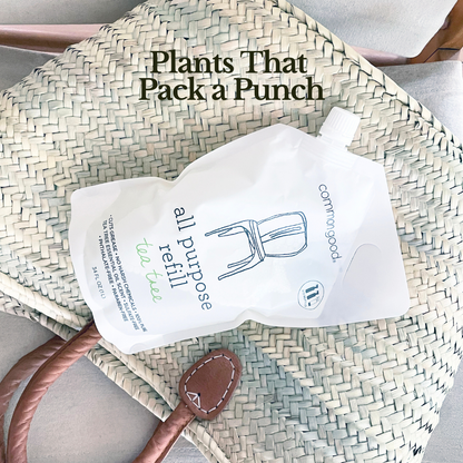 All Purpose Cleaner Refill Pouch and Glass Bottle Set by Common Good