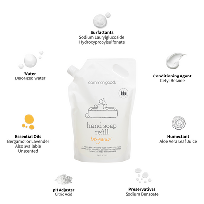 Hand Soap Refill Pouch, 34 Fl Oz by Common Good
