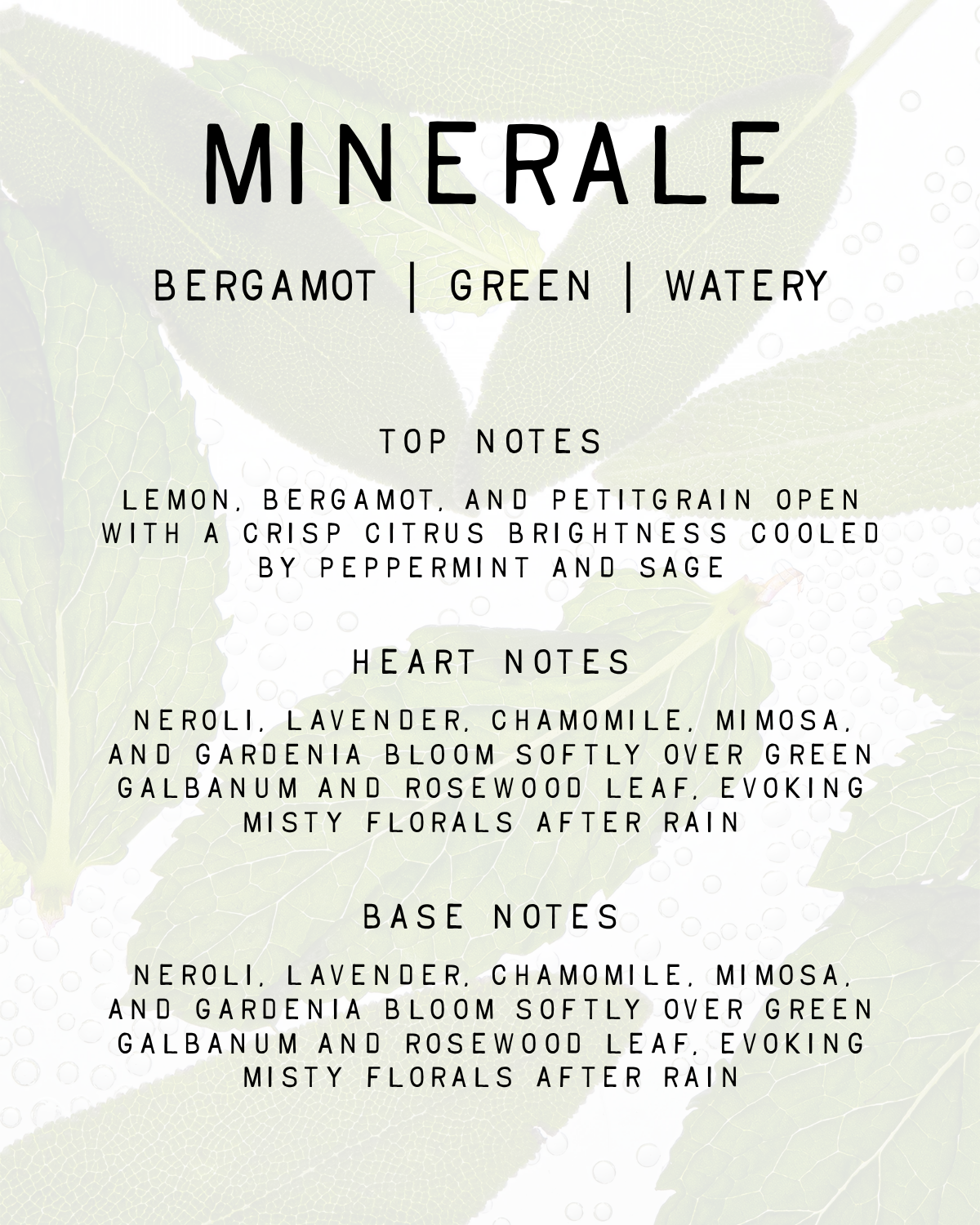 Minerale Fragrance
