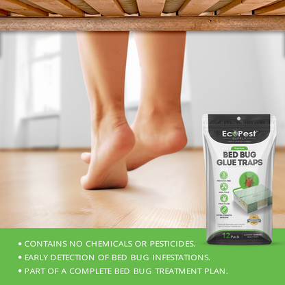 Bed Bug Glue Traps – 12 Pack | Sticky Indoor Pest Control Trap for Bed Bugs by EcoPest Supply