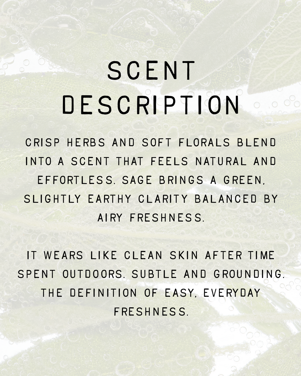 Sea Salt & Sage Fragrance