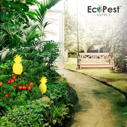 Sticky Fly Traps (Yellow) — 25 Pack by EcoPest Supply