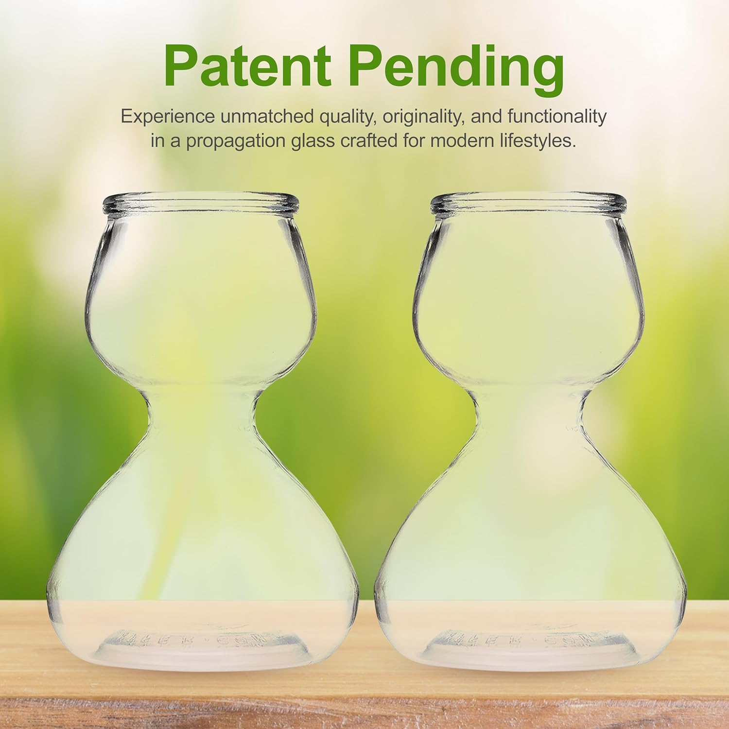 Plant Propagation Stations - Clear Glass Bud Vases (Set of 2)