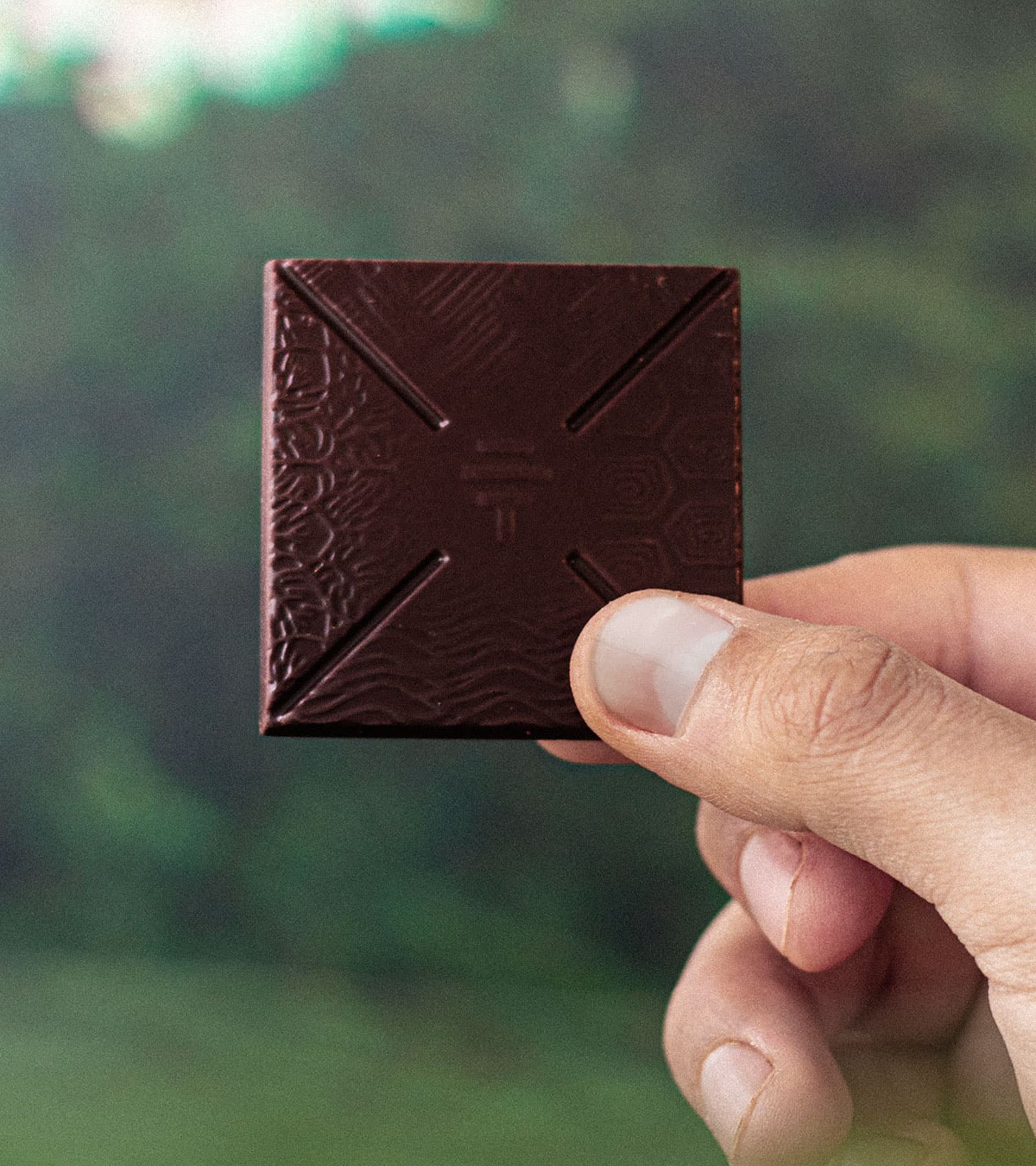 Galápagos Orange & Salt - Grande by To'ak Chocolate