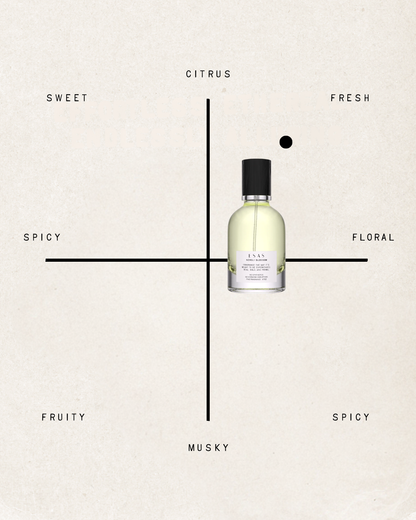 Neroli Blossom Fragrance