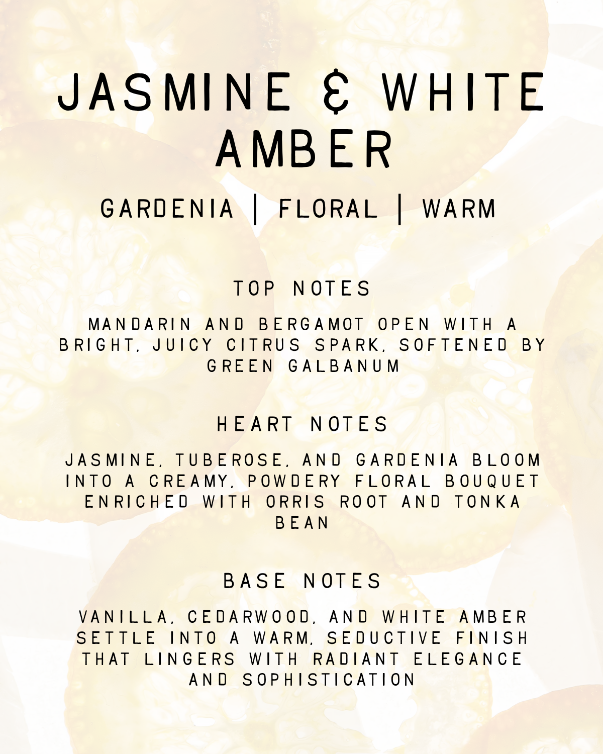 Jasmine & White Amber Fragrance