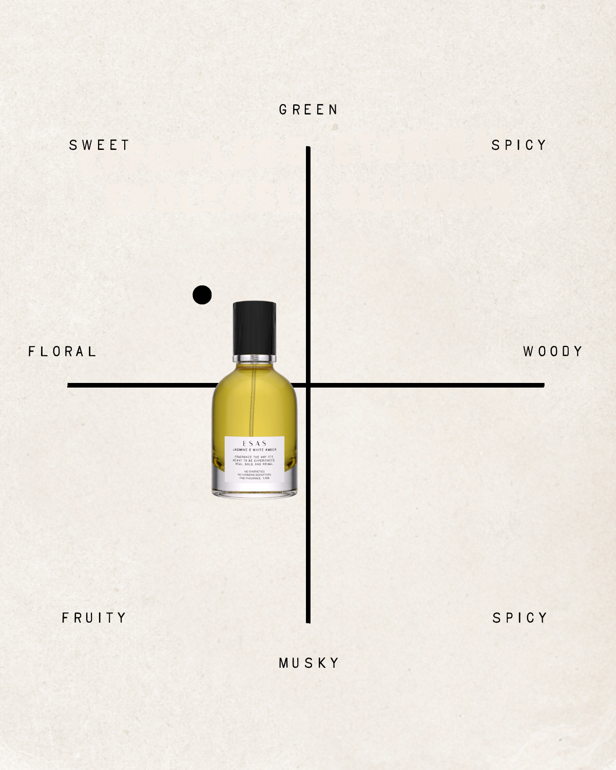 Jasmine & White Amber Fragrance