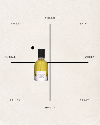 Jasmine & White Amber Fragrance