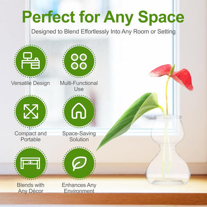 Plant Propagation Stations - Clear Glass Bud Vases (Set of 2)