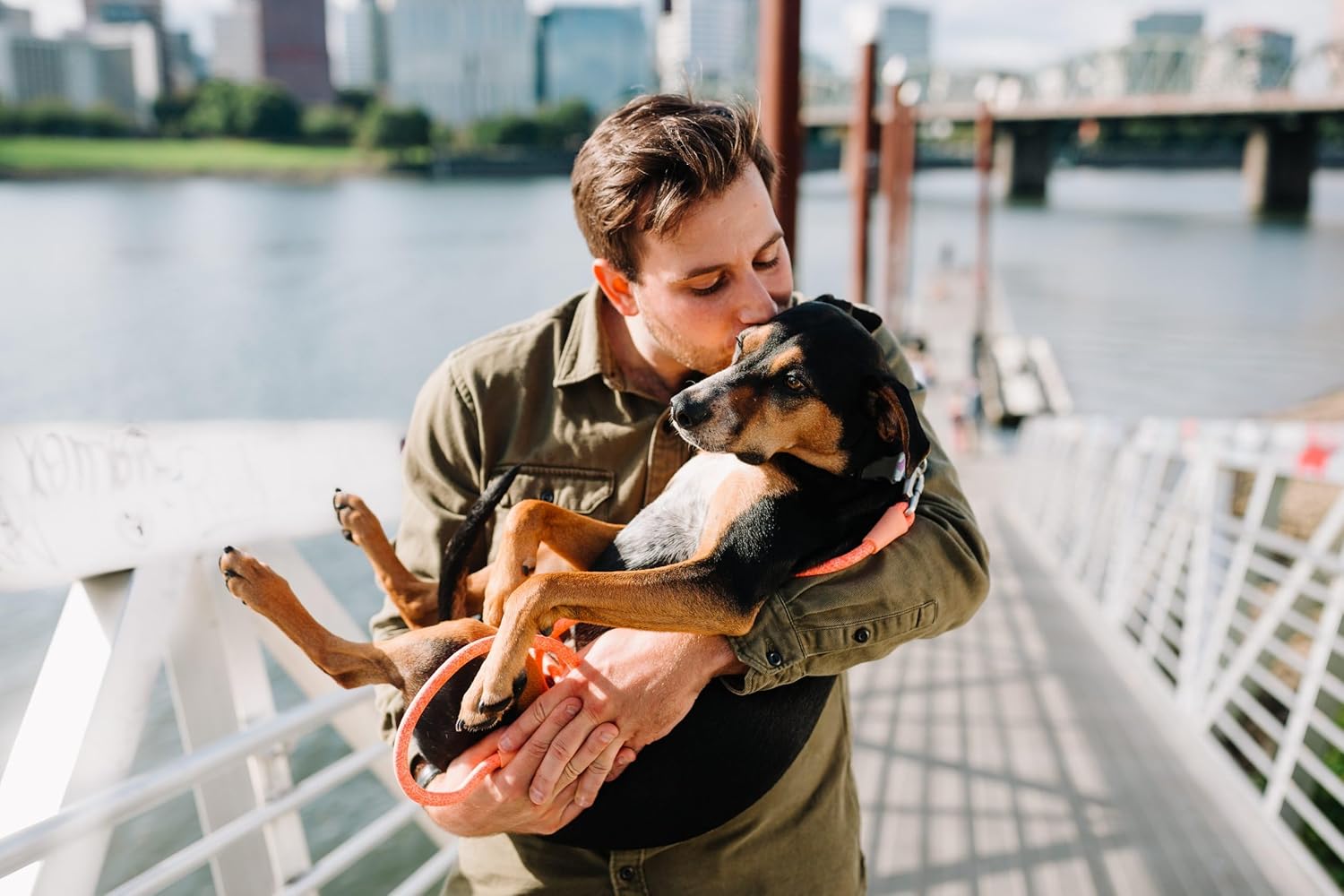 Pet Vet Immune Support
