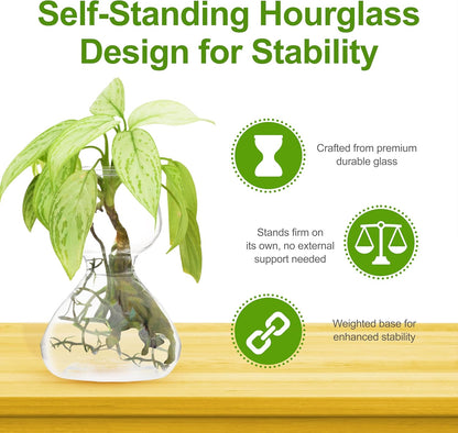 Plant Propagation Stations - Clear Glass Bud Vases (Set of 2)