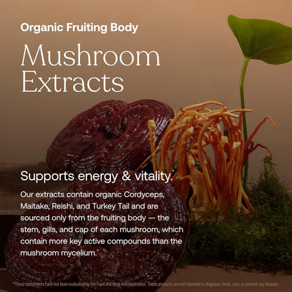 One Daily Women's Multivitamin