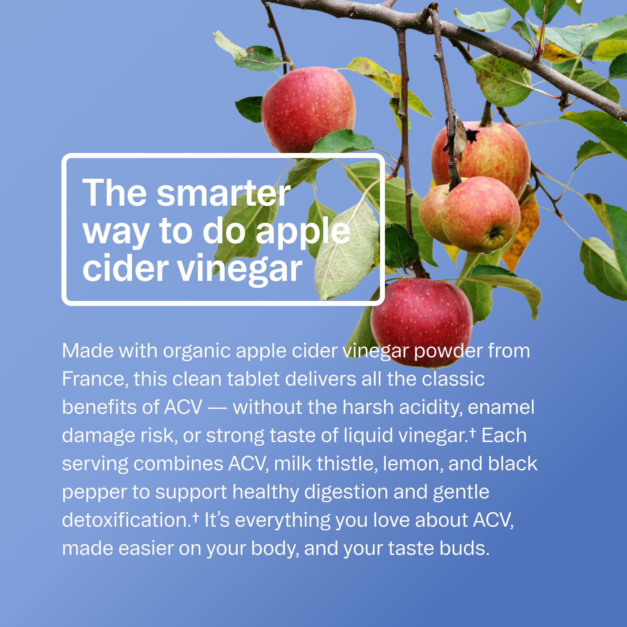 Organic Apple Cider Vinegar Pills