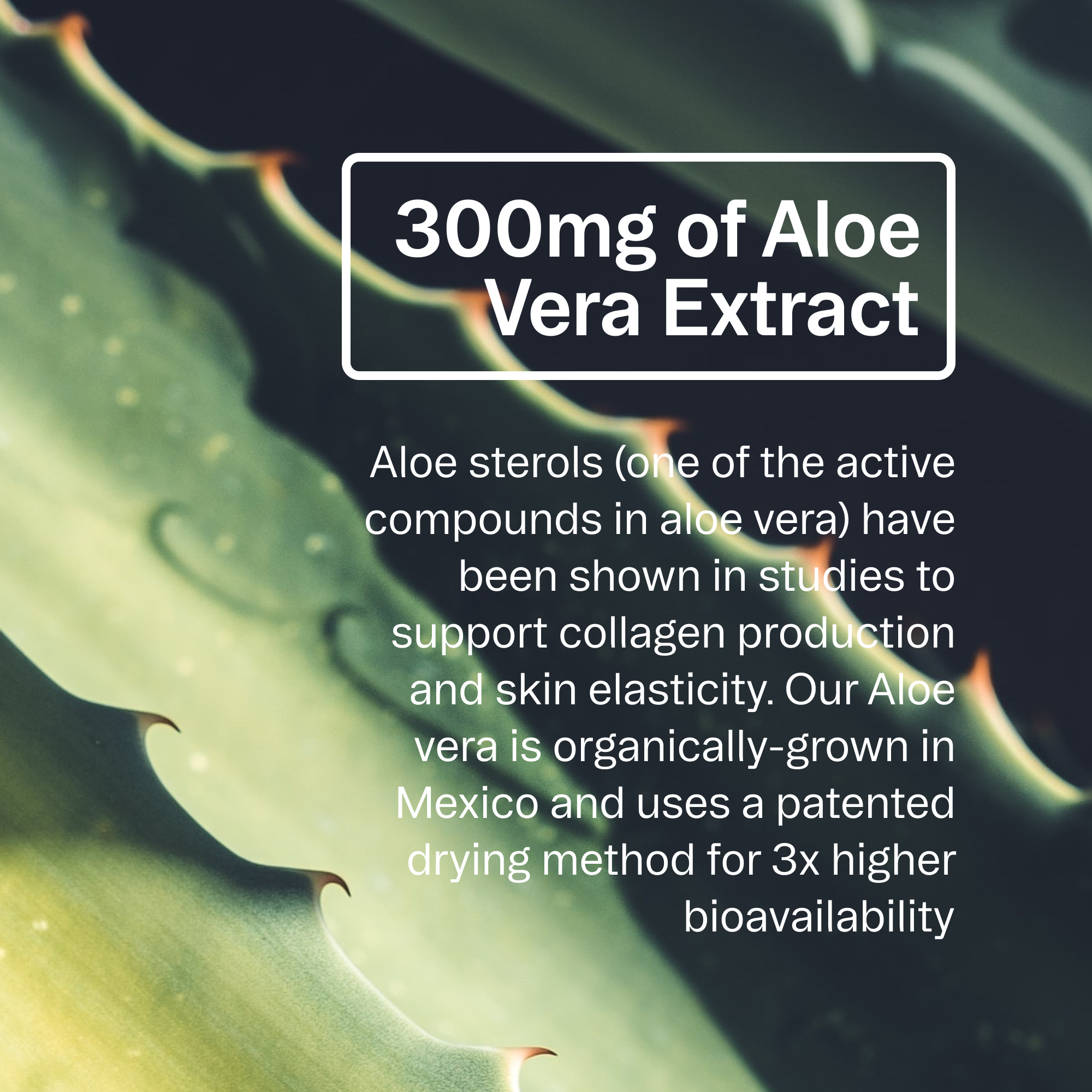 Plant-based Collagen-Boosting Powder