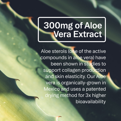 Plant-based Collagen-Boosting Powder