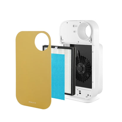 Oval Air Purifier by OVAL AIR