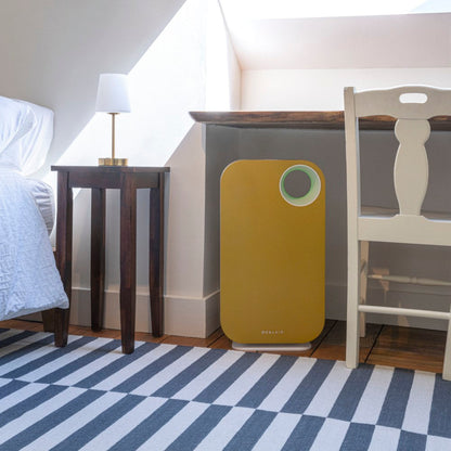 Oval Air Purifier by OVAL AIR