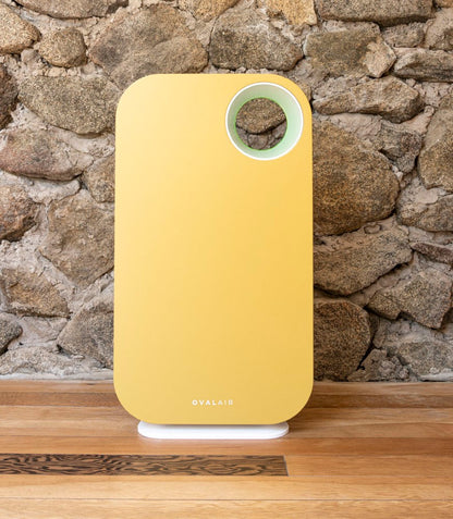 Oval Air Purifier by OVAL AIR