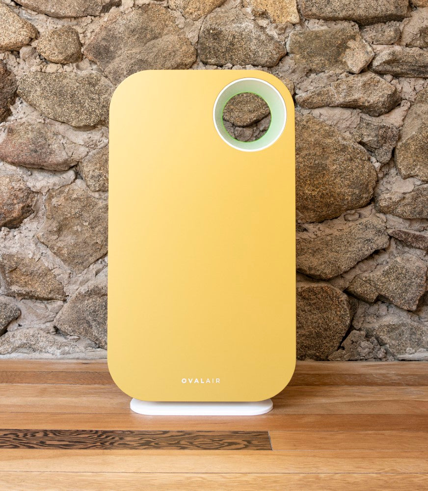 Oval Air Purifier by OVAL AIR