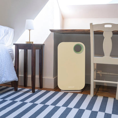 Oval Air Purifier by OVAL AIR