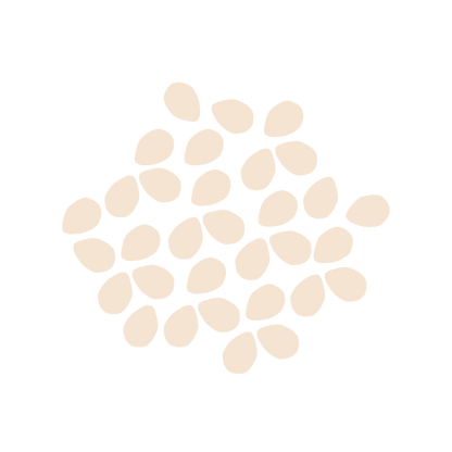 Squeeze Packs: Artisanal Tahini (Box of 10) by eatsoco