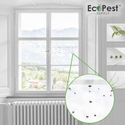 Window Fly Traps – 25 Pack | Transparent Sticky Fly Trap for Windows by EcoPest Supply