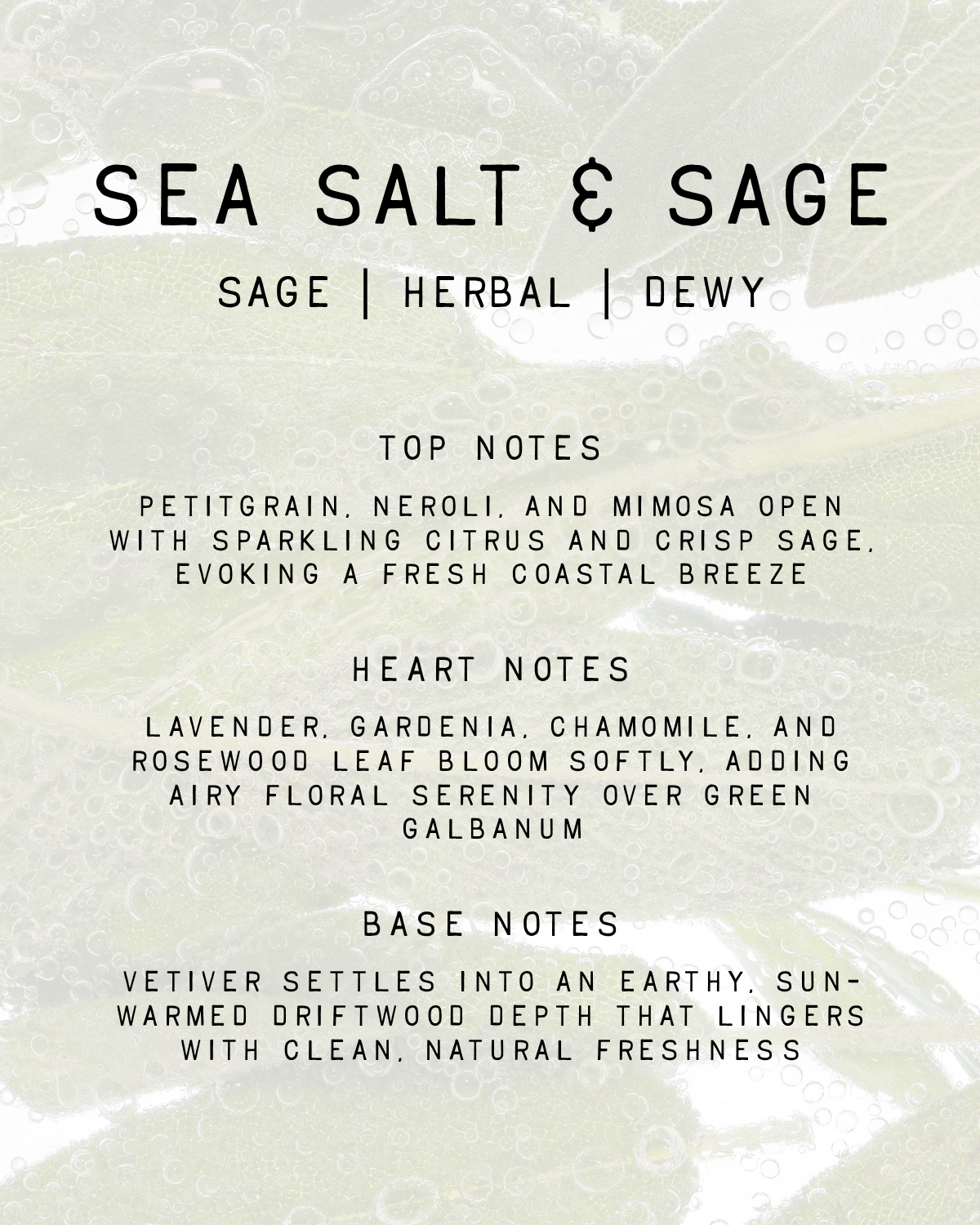 Sea Salt & Sage Fragrance