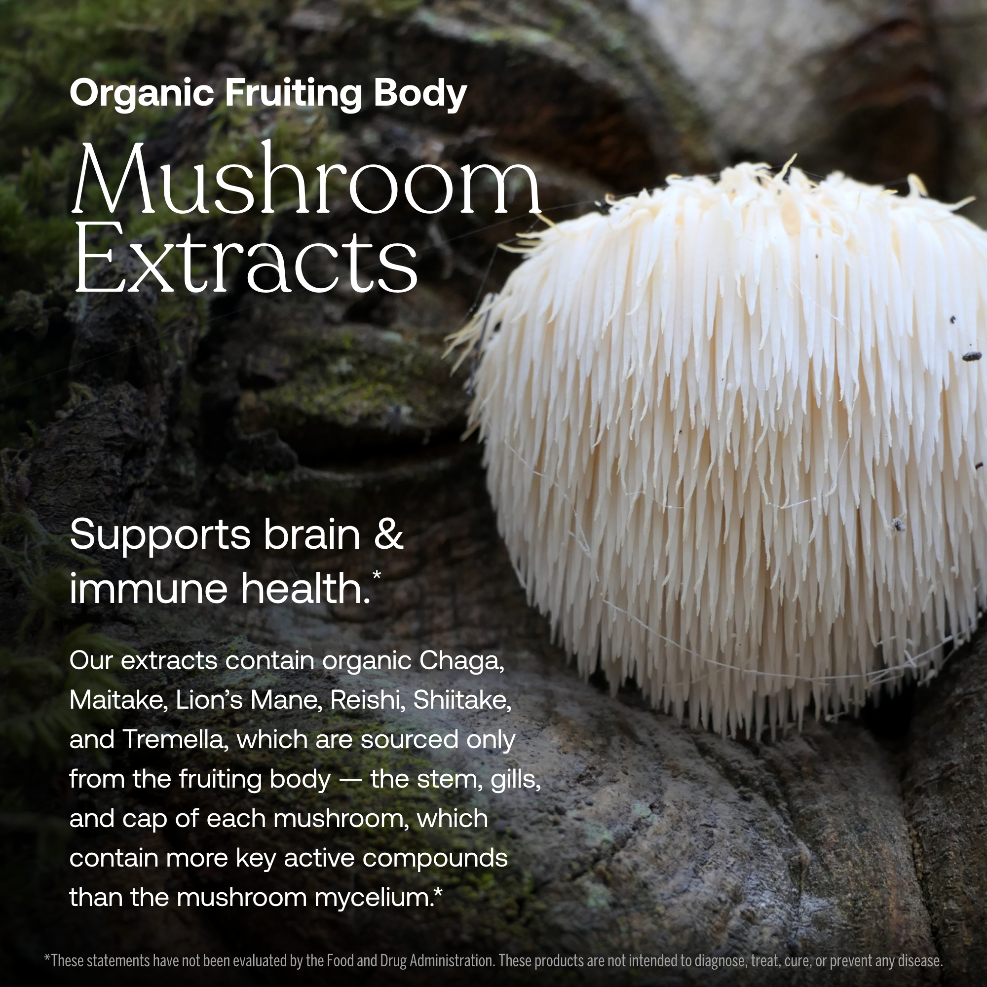 One Daily Women's 40+ Multivitamin