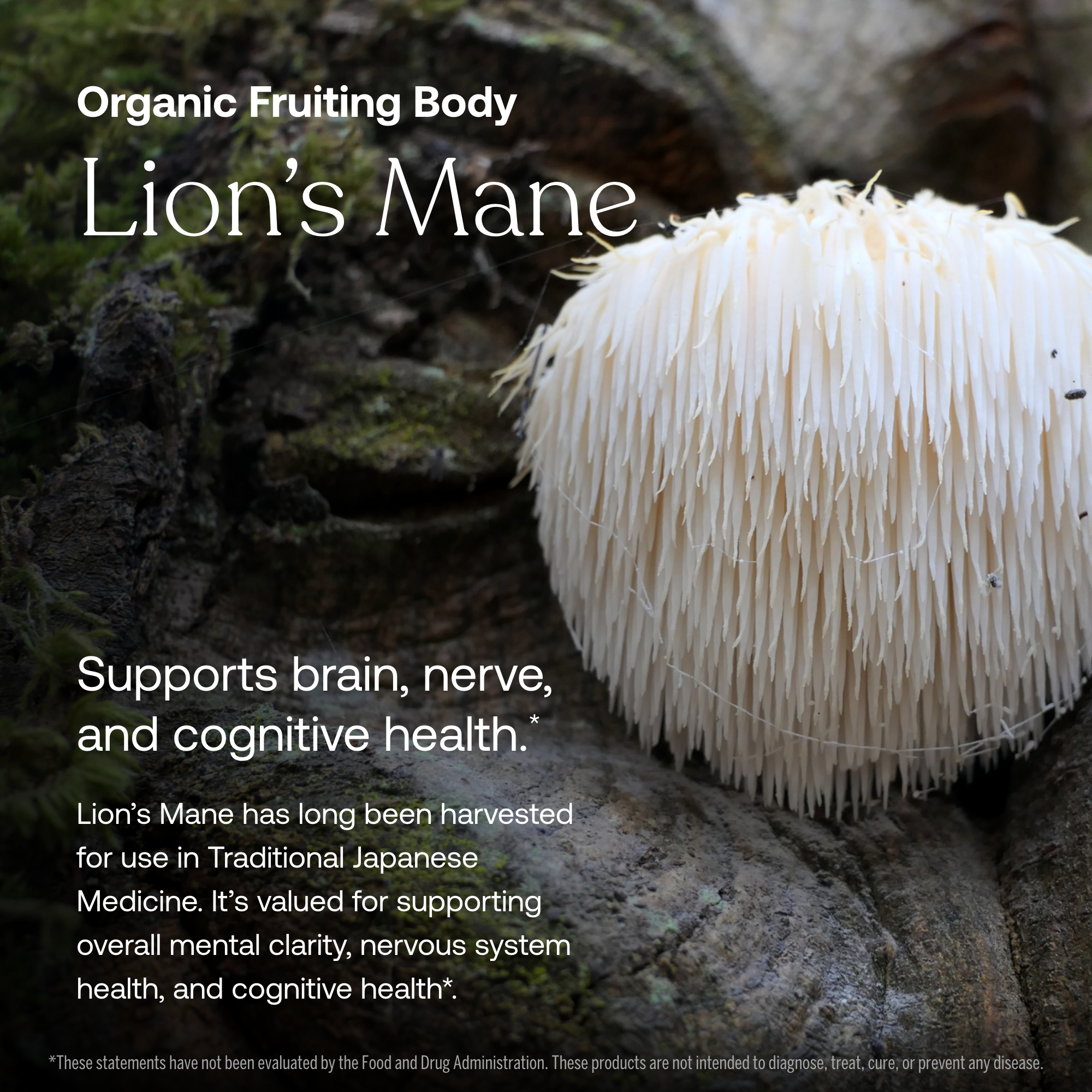 Daily Women's 50+ Multivitamin