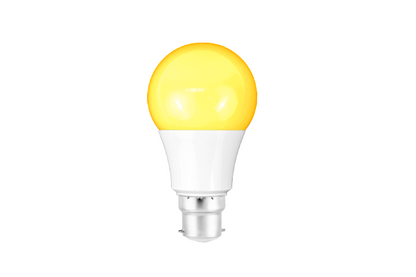 Full Spectrum Light Bulb