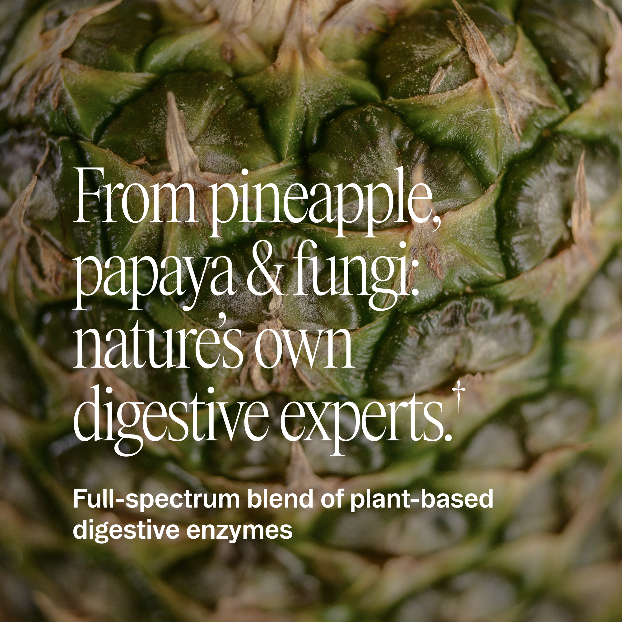 Digestive Enzymes Capsules