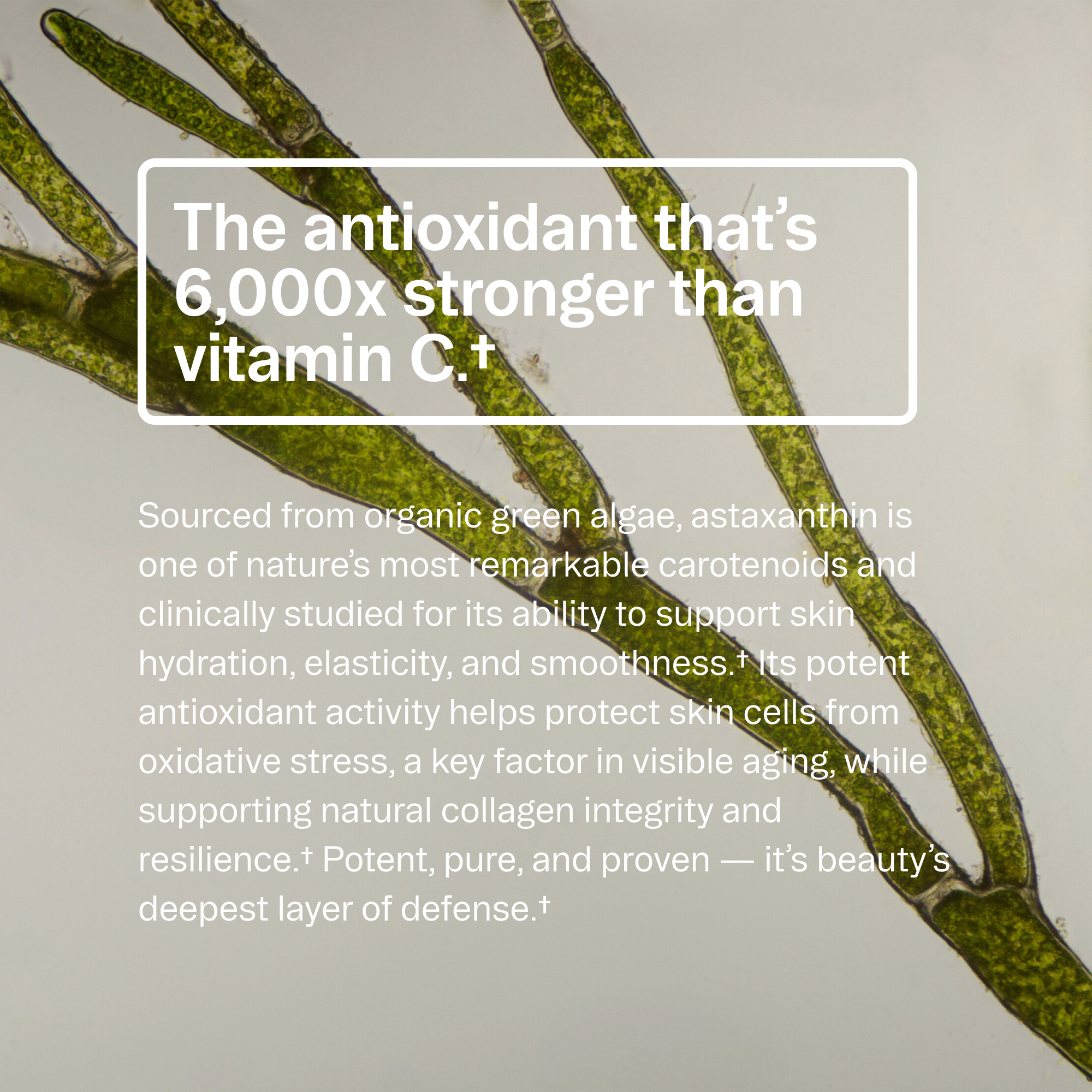 Hair, Skin & Nails Vitamins