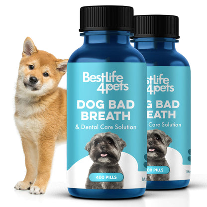 Dog Bad Breath & Dental Care Solution by BestLife4Pets