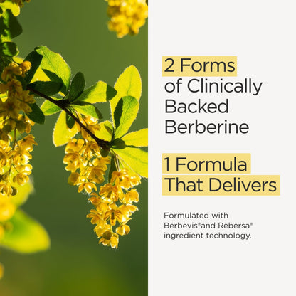 Berberine+ Formula