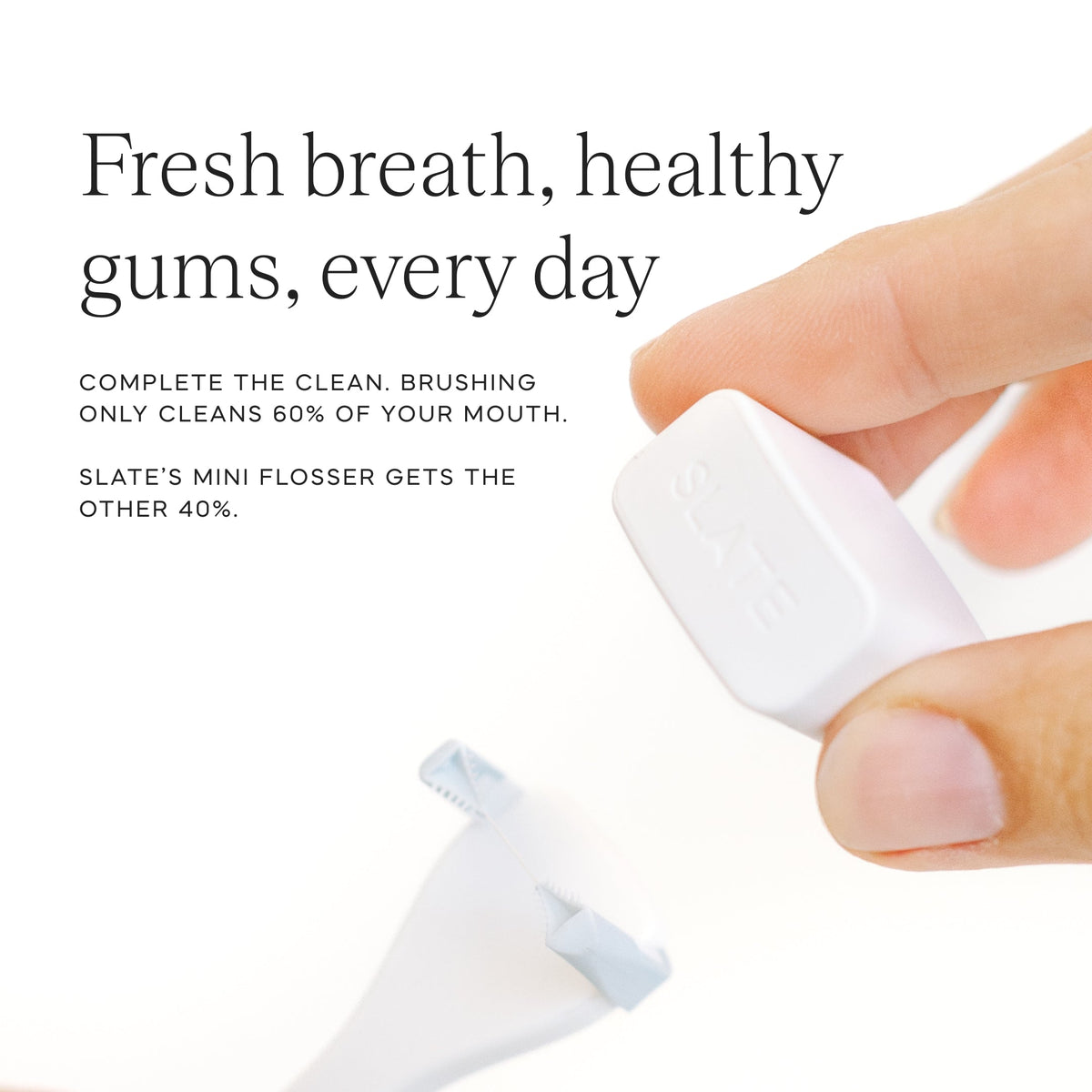 Slate Mini Flosser