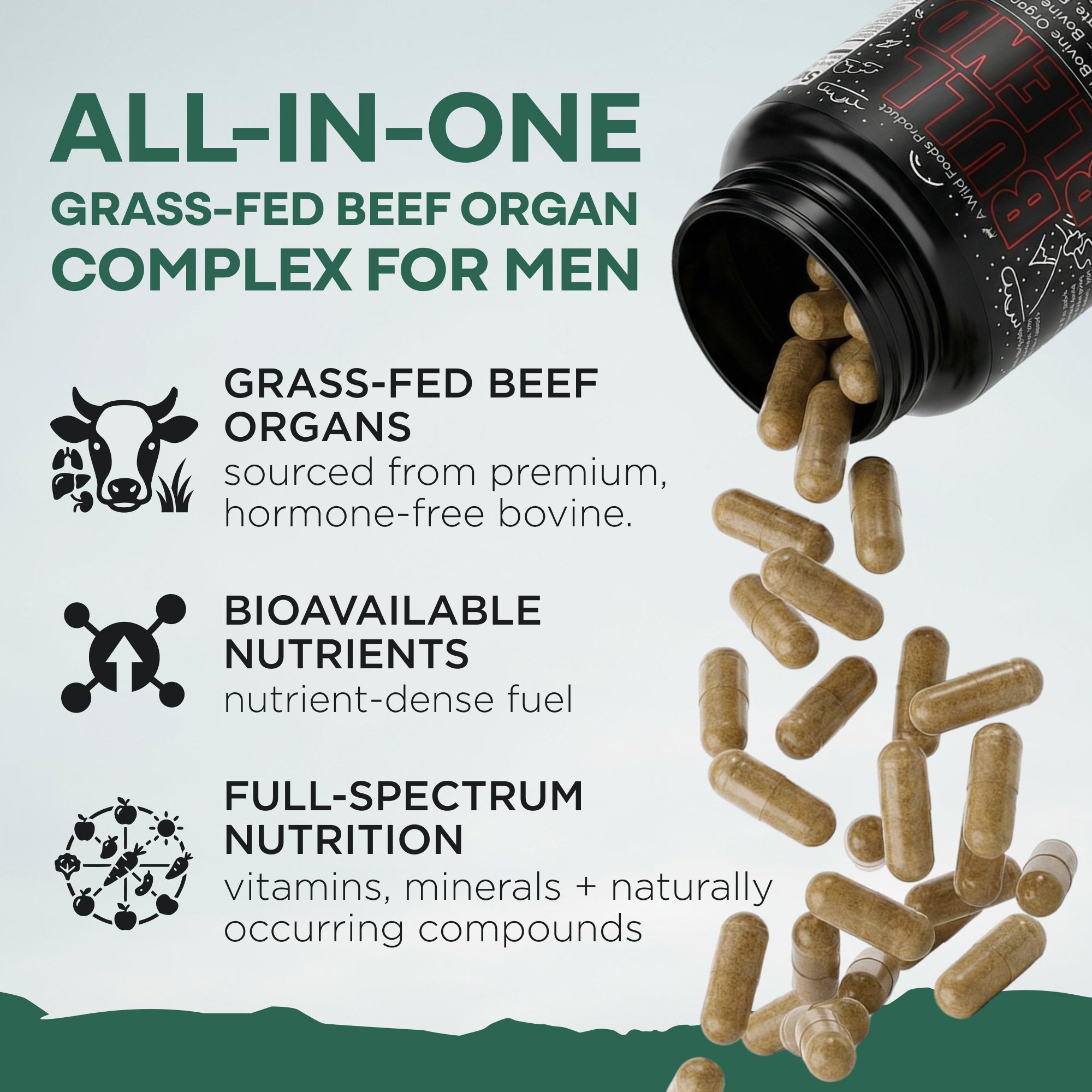 Wholesale of 10 - The Bull Blend - Beef Organs for Hormone Support