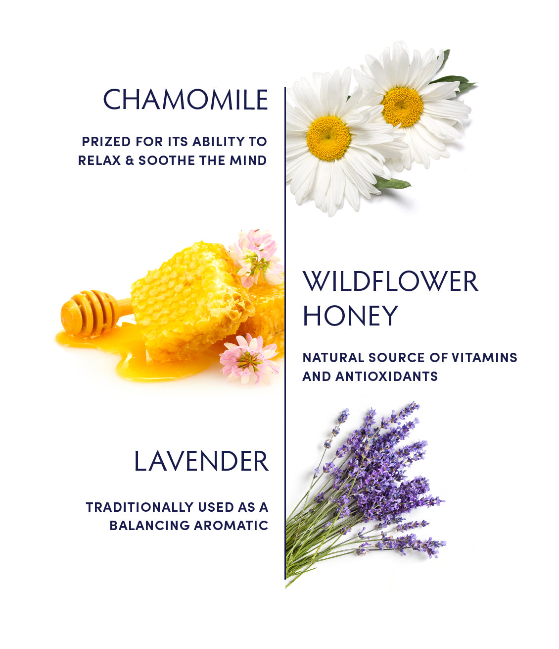 Chamomile Calming Honey by Naturopathica